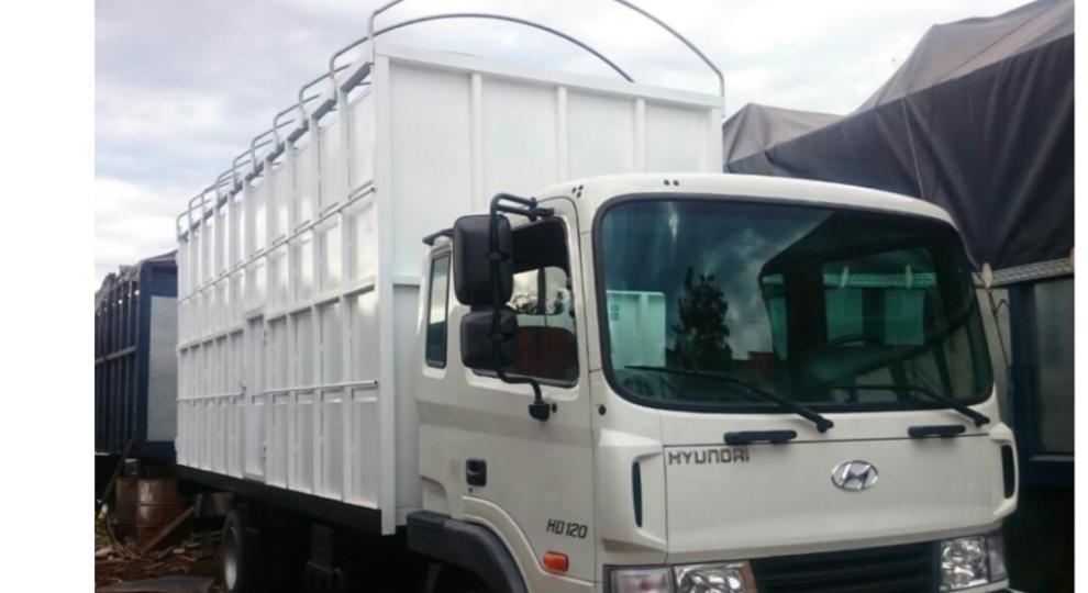 Hyundai HD 120 2018 Azogues