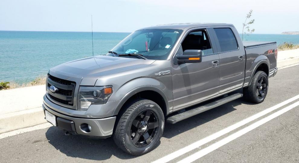 Ford F-150 FX4 2014 Manta