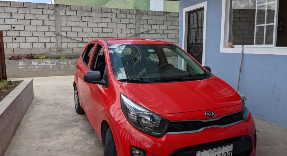 Kia Picanto 2019 Pifo