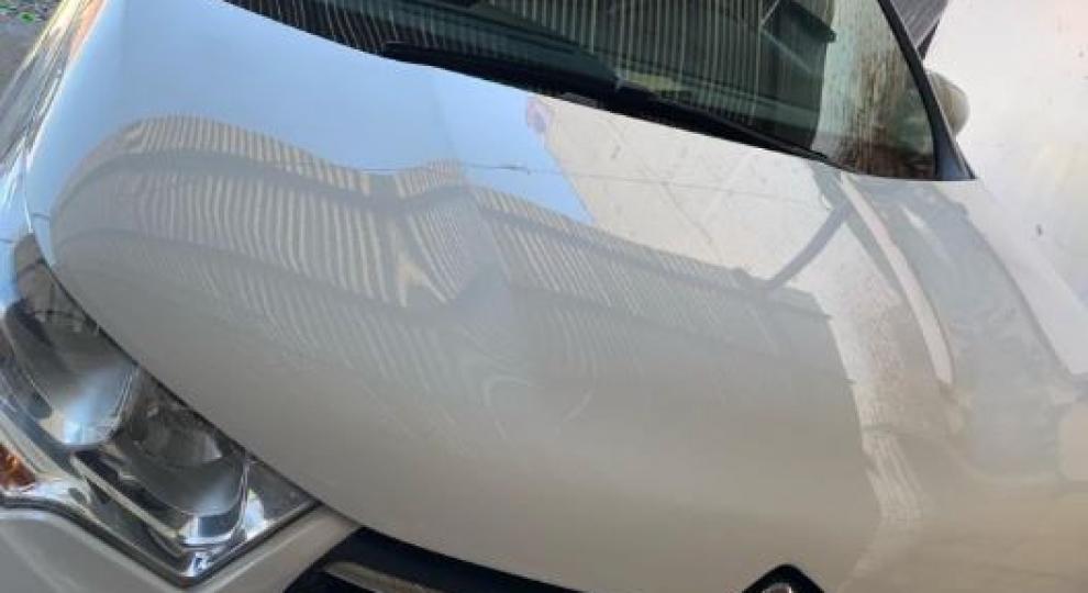 Citroen C4 2013 Loja