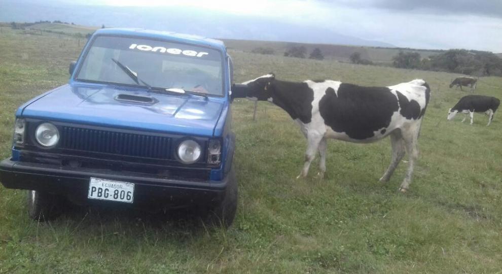 Chevrolet Tracker 1983 Machachi