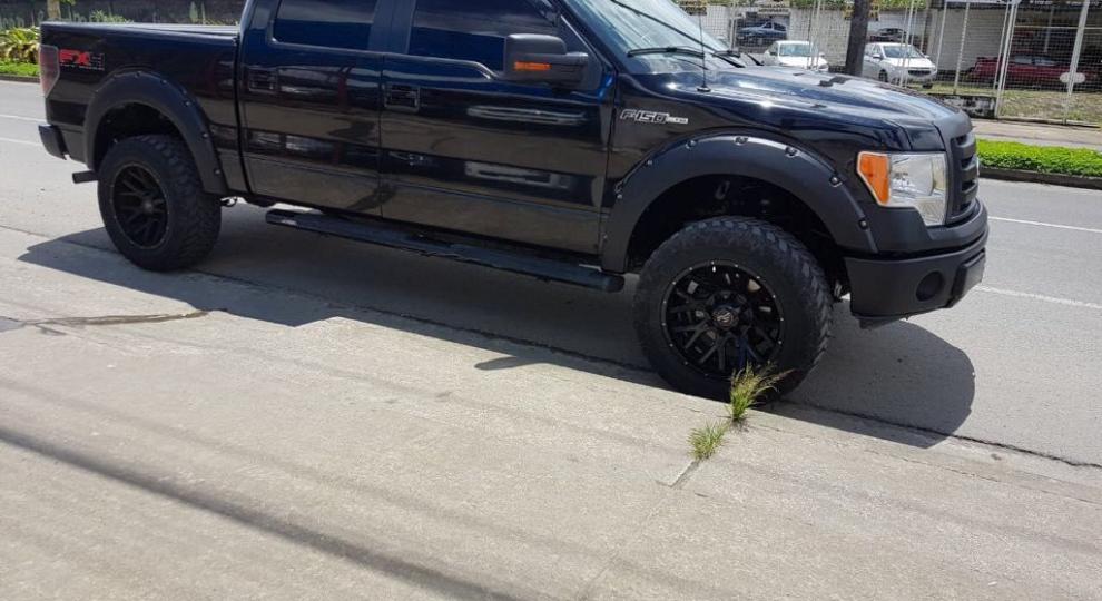 Ford F150 DC 4X4 2013 Santo Domingo