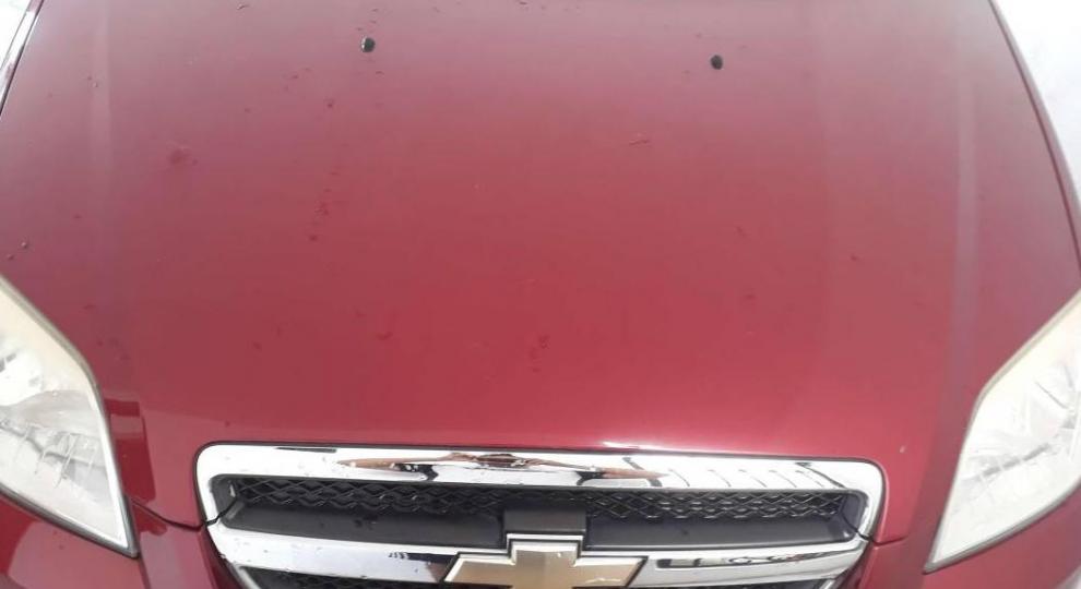 Chevrolet Aveo 2011 Apodaca