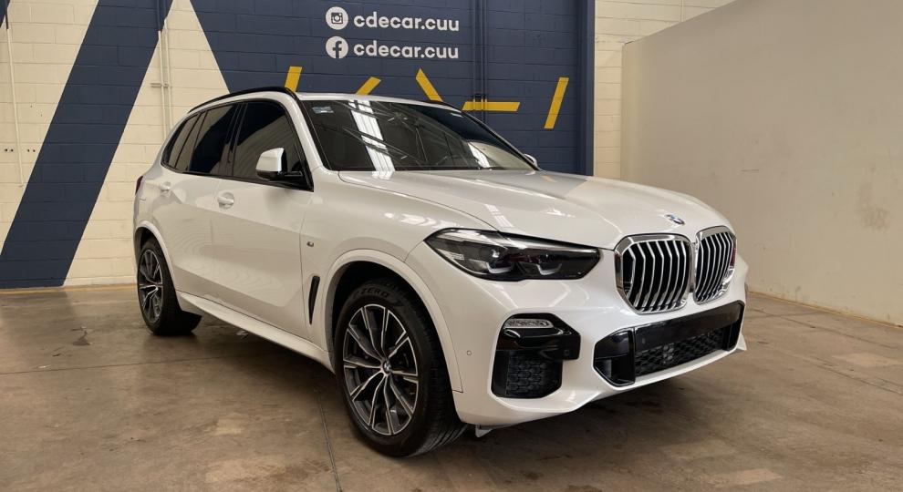 BMW X5 2019 Chihuahua