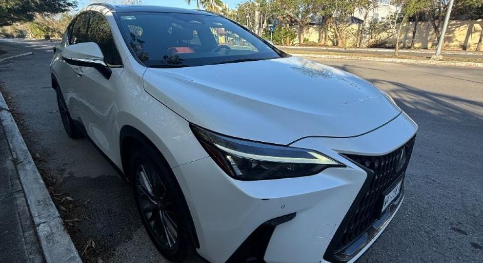 Lexus NX 2022 Merida