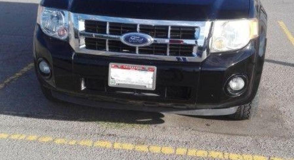 Ford Escape 2008 Islita