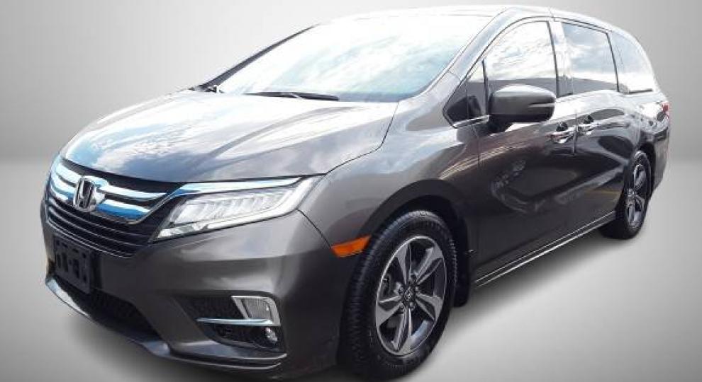 Honda Odyssey 2018 Chihuahua