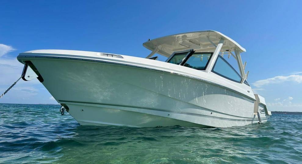 Otros Boston Whaler 2023 Veracruz