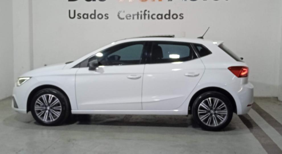 Seat Ibiza Xcellence 2019 Alvaro Obregon
