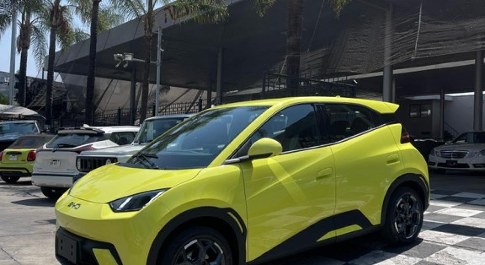 BYD Dolphin Mini Plus 2025 Zapopan