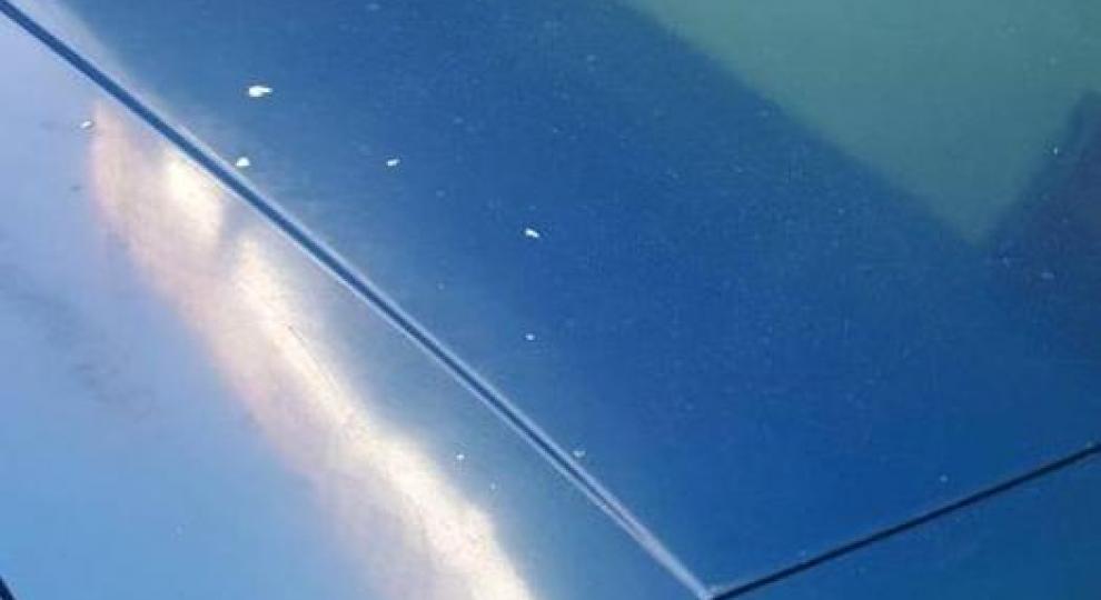 Chevrolet Celebrity 1986 Iztapalapa