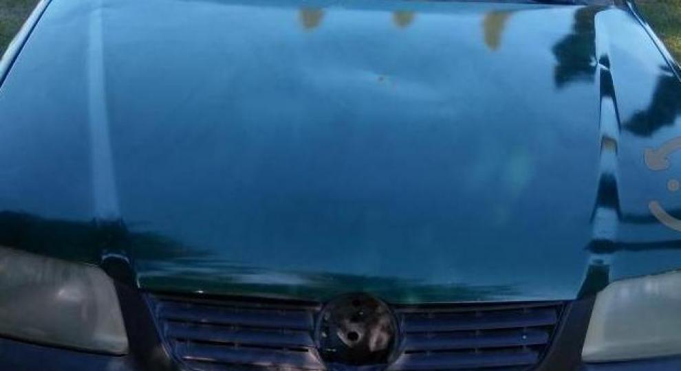 Volkswagen Pointer 2003 León