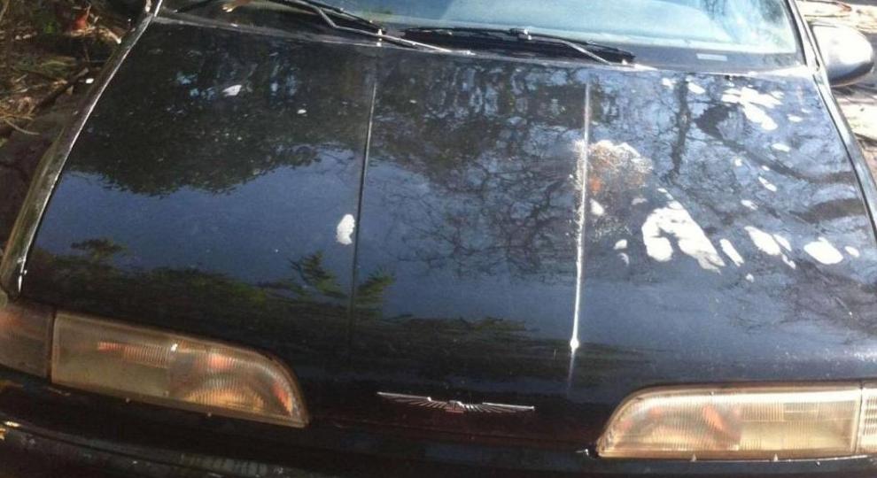 Ford Thunderbird 1993 Monterrey
