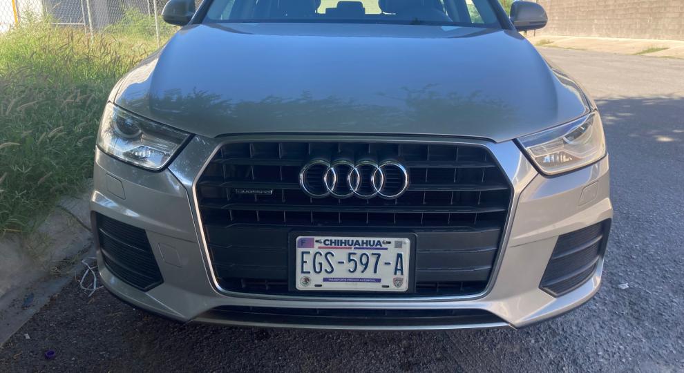 Audi Q3 2016 Chihuahua