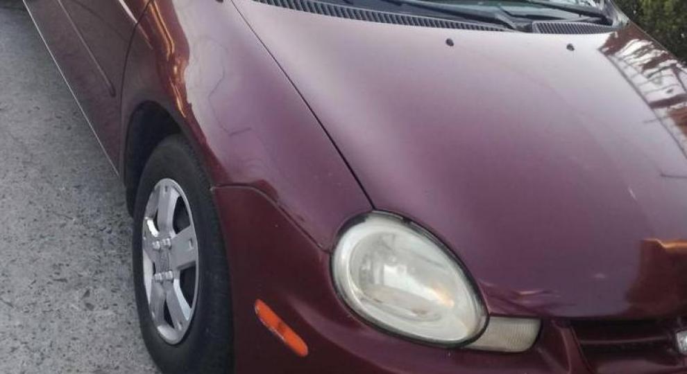 Dodge Neón 2002 Tala