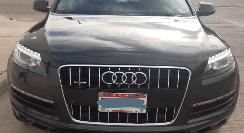 Audi Q7 2015 Chihuahua