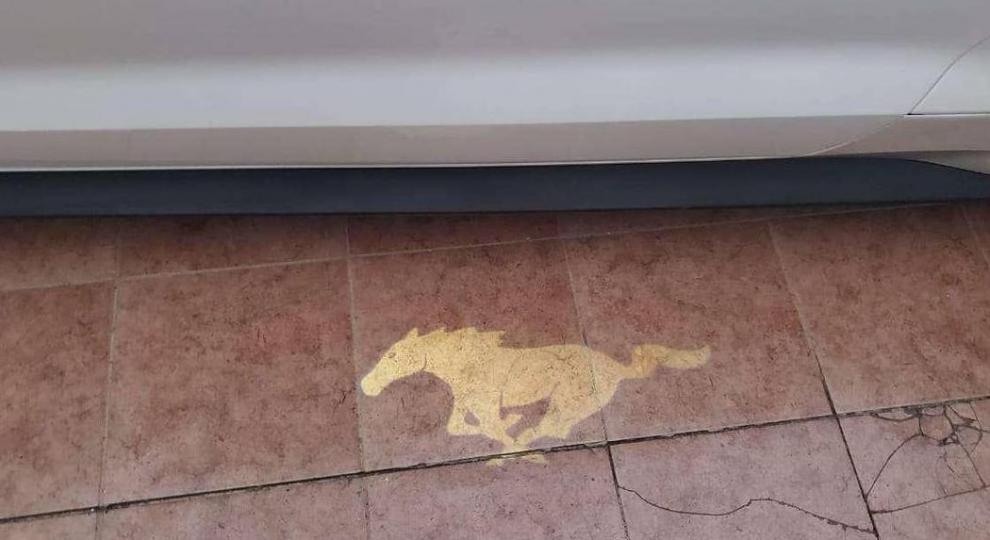 Ford Mustang 2017 Tala
