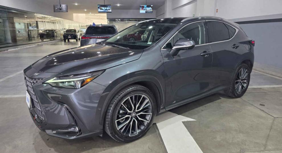 Lexus NX 2025 Cuajimalpa de Morelos