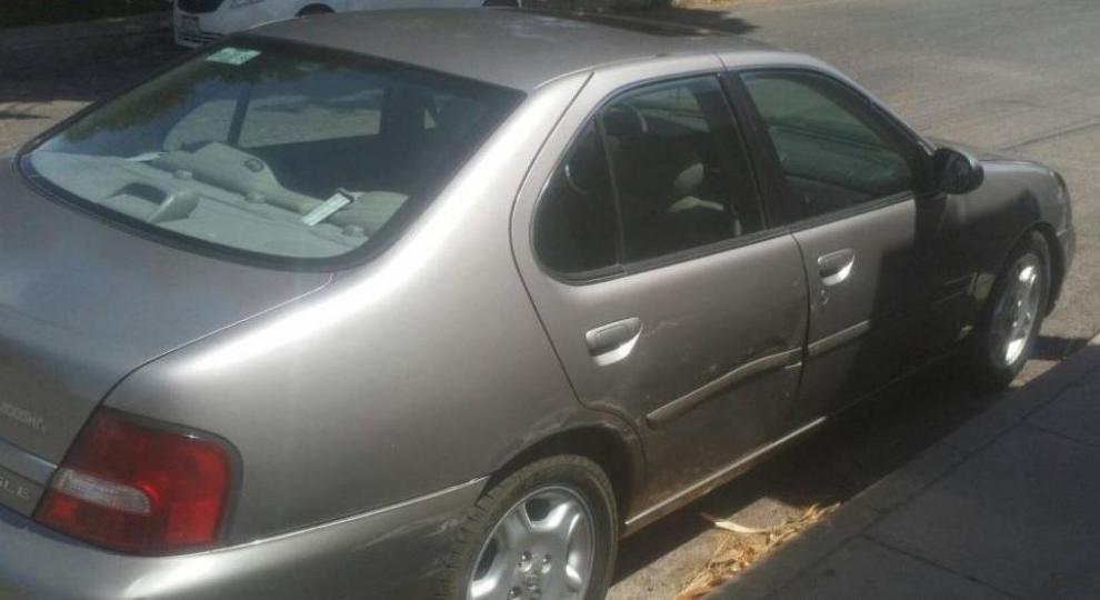 Nissan Altima 2000 Chihuahua
