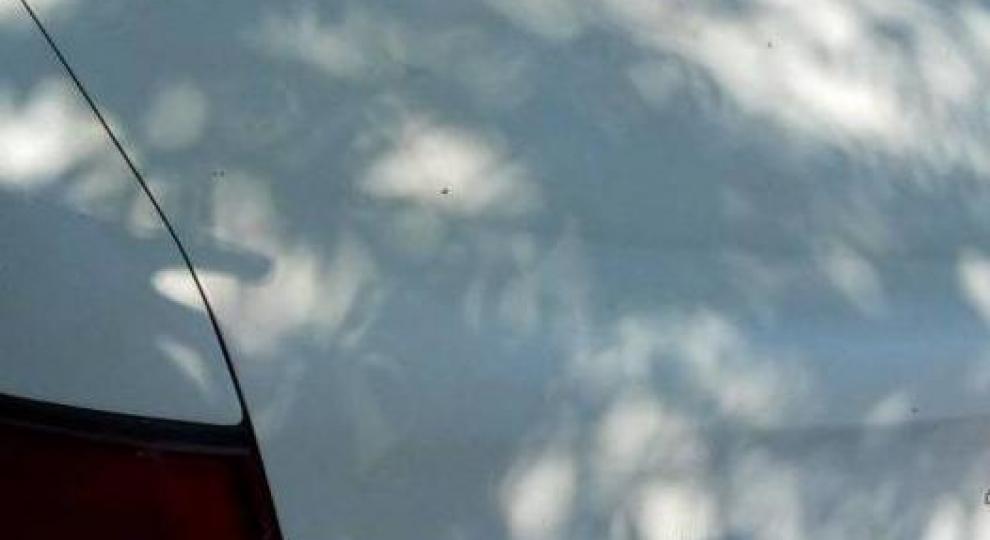 Nissan GTR 1998 León