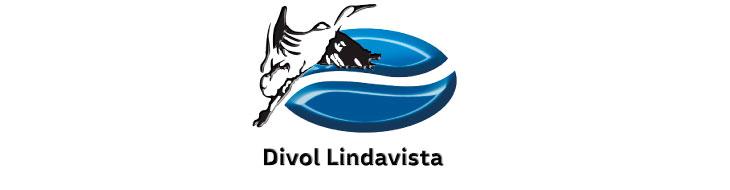 Logo SEMINUEVOS VW DIVOL LINDAVISTA