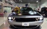 Dodge
