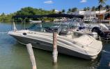 Sea Ray