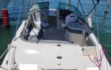 Sea Ray