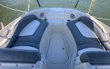 Sea Ray