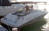 Sea Ray