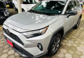 Toyota RAV4 2024
