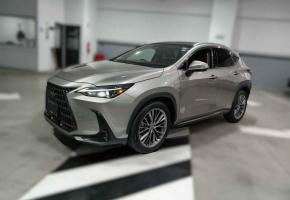 Lexus NX 2022