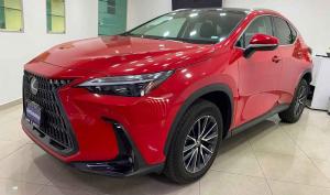 Lexus NX 2024
