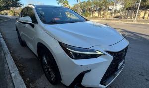 Lexus NX 2022
