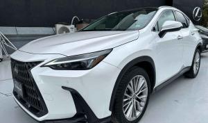 Lexus NX 2023