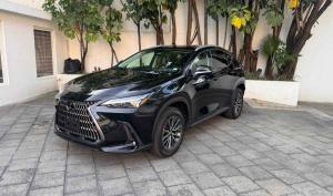 Lexus NX 2024