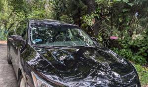 Nissan Maxima 2015