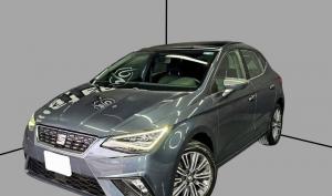 Seat Ibiza 2020