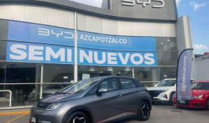 BYD Dolphin 2024