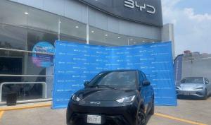 BYD Dolphin 2025