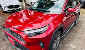 Toyota RAV4 2022