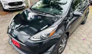 Toyota Prius 2019
