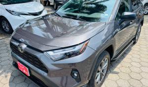 Toyota RAV4 2022