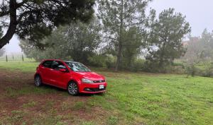 Volkswagen Polo Gti 2013