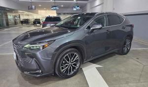 Lexus NX 2025