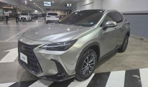 Lexus NX 2023