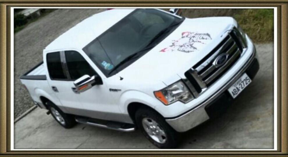 Camionetas ford f 150 cabina simple #6